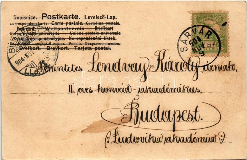 1904 Sárvár, Uradalmi gőztéglagyár. Stranz János kiadása - Image 2