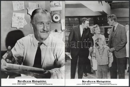 1965 ,,Kedves Brigitte' című amerikai film jelenetei és szereplői (köztük Brigitte Bardot), 13 db vintage produkciós filmfotó, a film illusztrált magyar plakátját külön tételben ld. a plakátok között, 24x18 cm