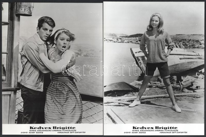 1965 ,,Kedves Brigitte' című amerikai film jelenetei és szereplői (köztük Brigitte Bardot), 13 db vintage produkciós filmfotó, a film illusztrált magyar plakátját külön tételben ld. a plakátok között, 24x18 cm - Image 2