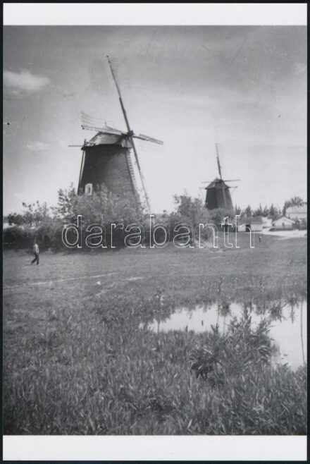 cca 1935 Kiskunfélegyháza határában szélmalmok, 1 db mai nagyítás régi negatívról, 15x10 cm / windmill, modern copy of vintage photo