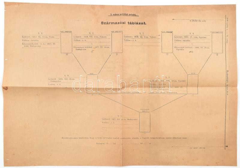 cca 1940 Származási táblázat minta izraeliták és kikeresztelkedettek részére