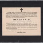 1920-1944 5 db katona halotti értesítője, főhadnagy, százados, ezredes, stb - Image 2