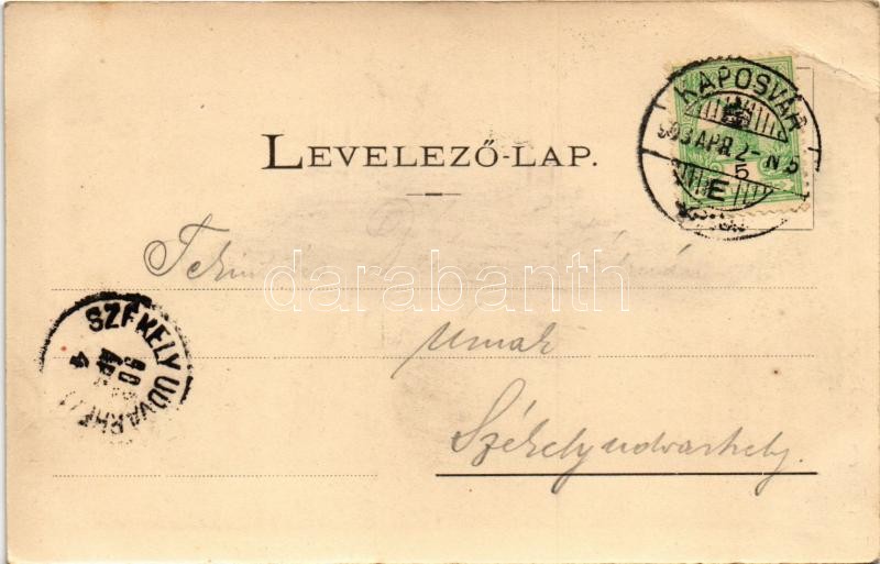 1903 Kaposvár, Széchenyi tér, Vajda Pál üzlete - Image 2