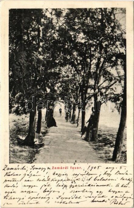 1905 Zamárdi, fasor a Balaton partján (Rb)