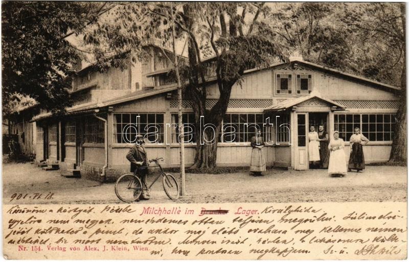1901 Királyhida, Bruckújfalu Tábor, Brucker Lager, Bruckneudorf; Milchhalle / Tejcsarnok és kávéház. Alex J. Klein kiadása / milk hall and café (EK)