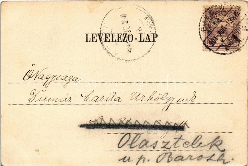 1901 Törcsvár, Törzburg, Bran-Poarta; vár / castle. Ciurcu - Image 2