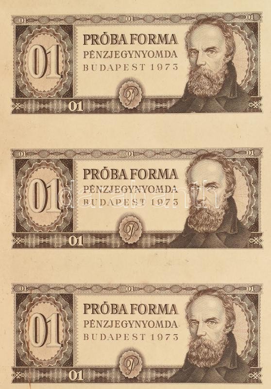 1973. Táncsics 01 'PRÓBA FORMA' előlap kész, hátlap üres, barna nyomat, 10db-os T:I- feltekert, hajtatlan, gyűrődésekkel / Hungary 1973. Táncsics 01 'PRÓBA FORMA' unissued banknote design, front proof, backside empty, brown print, in - Image 2