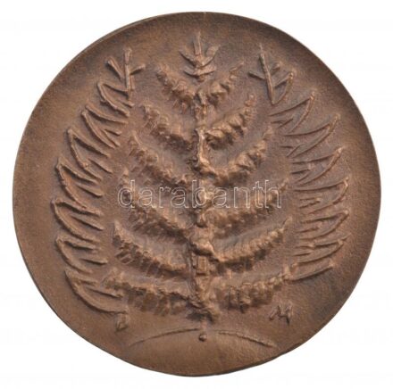 Borsos Miklós (1906-1990) 1986. 'Budapesti Könyvipari Szövetkezetek Szövetsége - BNV' kétoldalas, öntött bronz emlékérem (69mm) T:1- / Hungary 1986. 'Budapesti Könyvipari Szövetkezetek Szövetsége - BNV' double-sided, cast bronze
