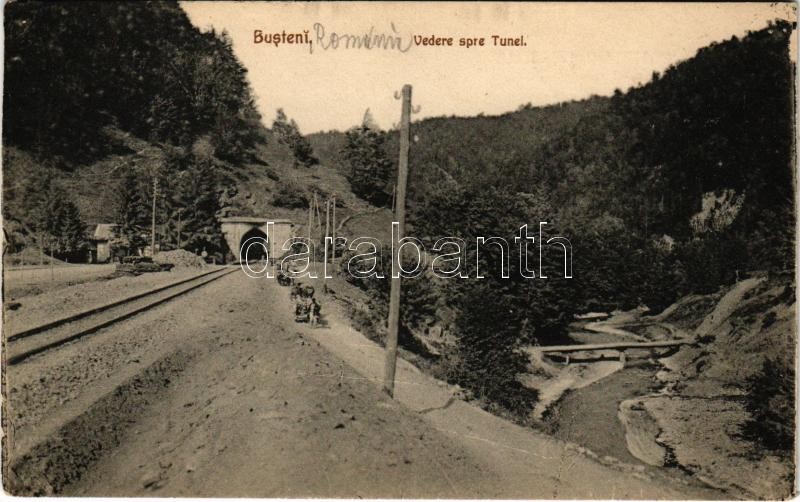 Busteni, Vedere spre Tunel / railway tunnel