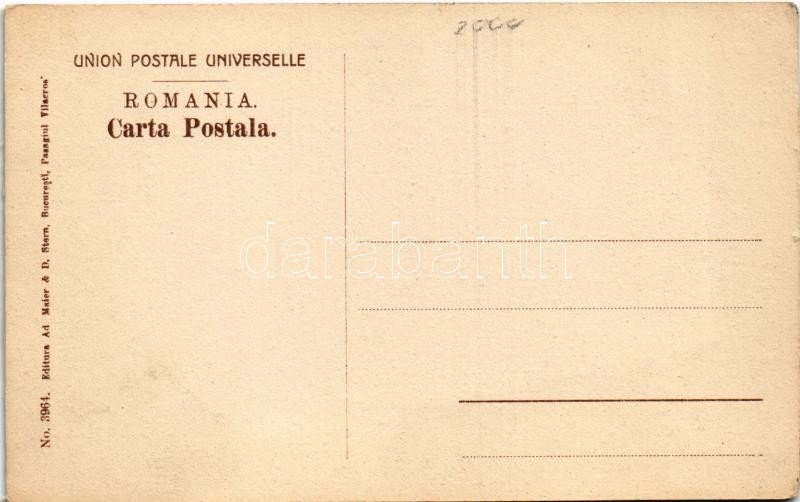 Busteni, Vedere spre Tunel / railway tunnel - Image 2