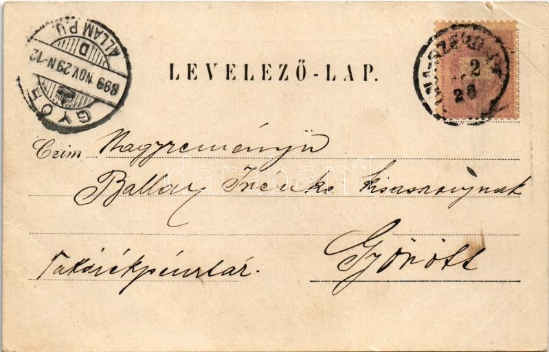 1899 (Vorläufer) Dunaszerdahely, Dunajská Streda; Római katolikus népiskola, kaszinó, Fehér kastély, Adóhivatal / school, casino, castle, tax office. Art Nouveau, floral (EK) - Image 2