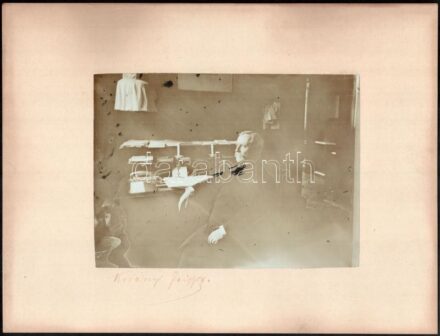 cca 1910 Id. báró tolcsvai Korányi Frigyes (1827-1913) orvosprofesszor, MTA-tag a márciusi ifjak egyikének fotója, fotó kartonon, 15x20 cm