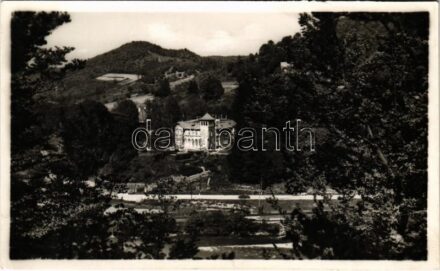 Csucsa, Ciucea; volt Ady kastély. Marosi József kiadása / castle