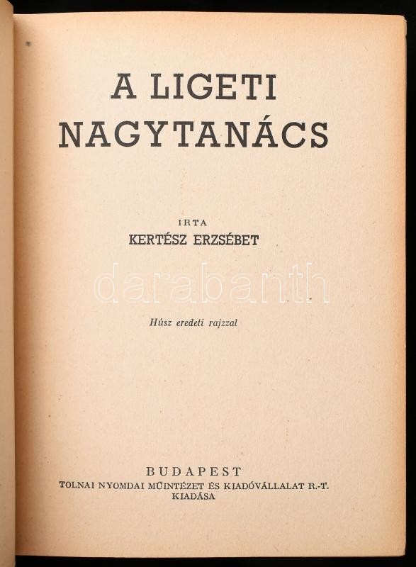 Kertész Erzsébet: A ligeti nagytanács 20 eredeti rajzzal. Bp., é.n. Tolnai. Kiadói félvászon kötésben. Kissé kopott - Image 2