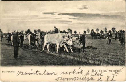 Balaton Vidéke, Praxi munka. D.K.F.E. 905. (EK)