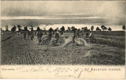 Balaton Vidéke, Praxi munka. D.K.F.E. 906.