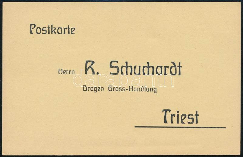 cca 1900 Trieszt, R. Schuchardt Drogenhandlung árkatalógusa és levelezőlapja, 2 db - Image 2