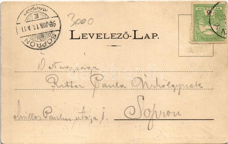 1899 (Vorläufer) Gödöllő, pályaudvar, vasútállomás - Image 2