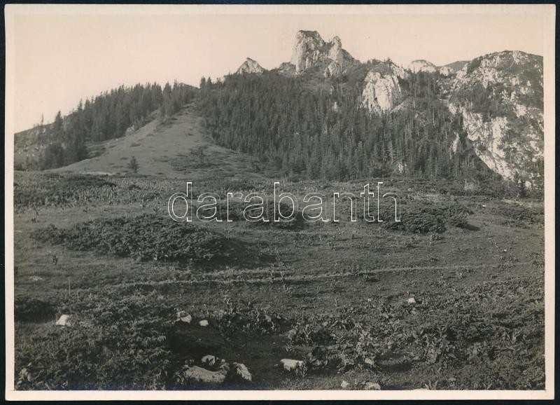 cca 1910 Nagykőhavas, Erdélyi Mór felvétele, hátulján feliratozva, 11,5×16 cm / Piatra Mare, photo of Mór Erdélyi, with notes on its back, 11,5×16 cm