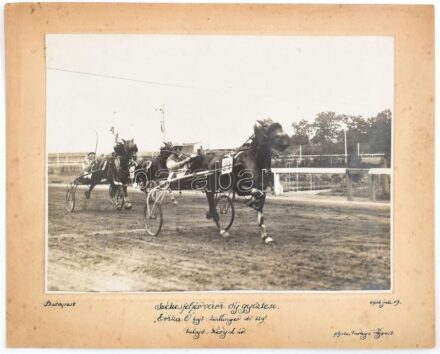 1932 Budapet, lóverseny, a székesfehérvári díj győztese 'Erika', hajtó: Zwillinger, kartonra kasírozott fotó, feliratozva, 17×23 cm