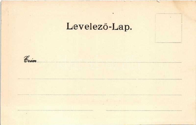 Zenta, Senta; fafedeles Tisza híd (1902-ben leomlott). kapható Kabos Arminnál / wooden Tisa bridge (collapsed in 1902) - Image 2