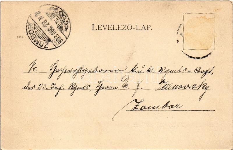 1903 Apatin, Ung. Schiffs Agentie / Magyar Hajózási Ügynökség kikötője. Franz Benzinger kiadása / Hungarian Shipping Agency port - Image 2