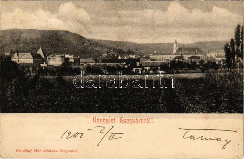 1901 Szekszárd, zsinagóga. Fischhof Mór kiadása (Rb)
