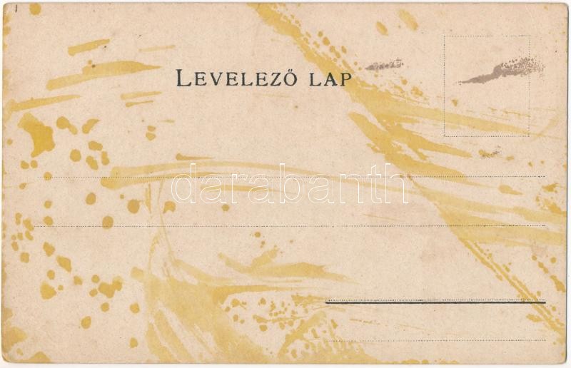 Trencsén vármegye térképe. Kiadja Károlyi Gy. / Map of Trencín county (fl) - Image 2