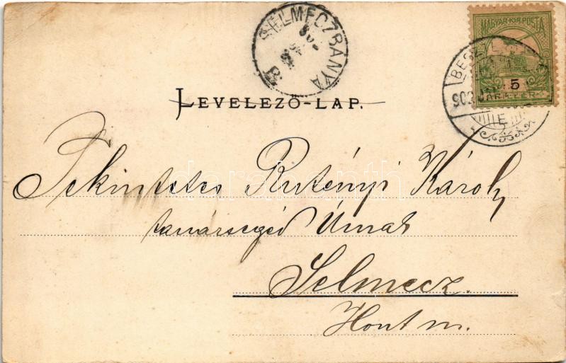 1902 Romänischer Schafzüchter. Siebenbürgische Volkstypen-Karte Nr. 5. / Román népviselet / Romanian folklore (EK) - Image 2