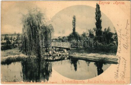 1901 Zagreb, Agram, Zágráb; Iz botanickeg vrta / Aus dem botanischen Garten / Botanikus kert. Rechnitzer kiadása / Botanical garden (EK)