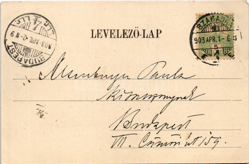 1903 Szabadka, Subotica; Szentháromság szobor, Battyání utca, Grünbaum Mór üzlet / Trinity statue, street, shop - Image 2