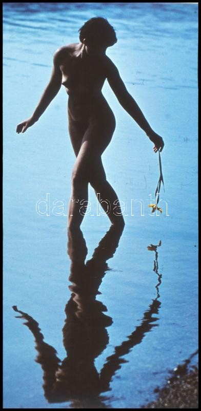 cca 1980 előtt készült, szolidan erotikus felvételek, 8 db vintage NEGATÍV és/vagy DIAPOZITÍV, 24x36 mm és 5x3,4 cm között