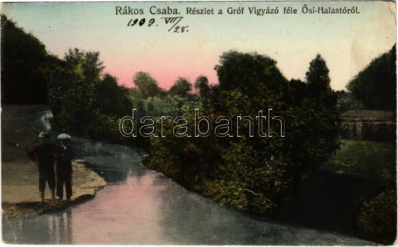 1909 Budapest XVII. Rákoscsaba, Gróf Vigyázó féle Ősi Halastó. Theodorovits Vladán kiadása (EK)