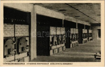 Oswiecim-Brzezinka, Auschwitz-Birkenau; WWII German Nazi concentration camp. Crematorium furnaces