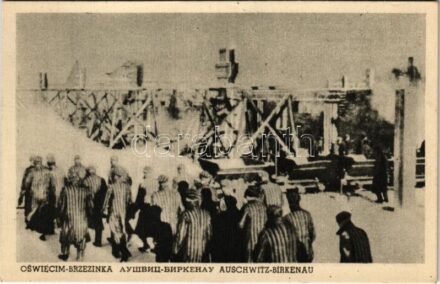 Oswiecim-Brzezinka, Auschwitz-Birkenau; WWII German Nazi concentration camp. On the way to work