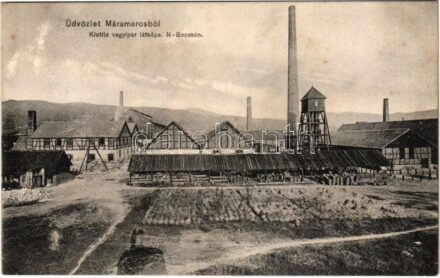 Nagybocskó, Velikij Bicskiv, Velykyy Bychkiv (Máramaros); Klotild vegyipar látképe, gyár. Kaifman Á. és fiai kiadása / chemical factory (EK)