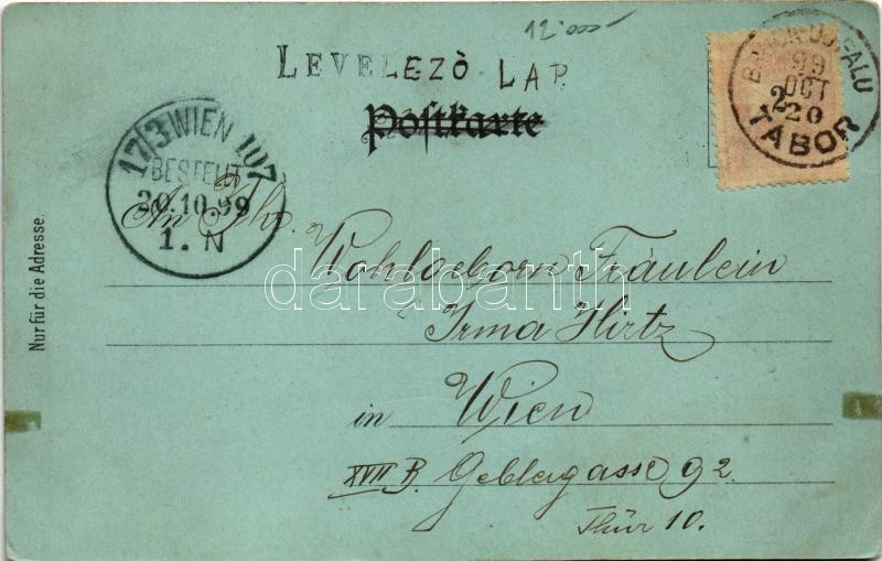 1899 (Vorläufer) Lajtabruck, Bruck an der Leitha; Harrach kastély, laktanya és őrség / Schloss, Wache im neue Lager, Baracken Lager / castle, k.u.k. military barracks with guard. Kunstanstalt Karl Schwidernoch Art Nouveau, floral, litho (EK) - Image 2