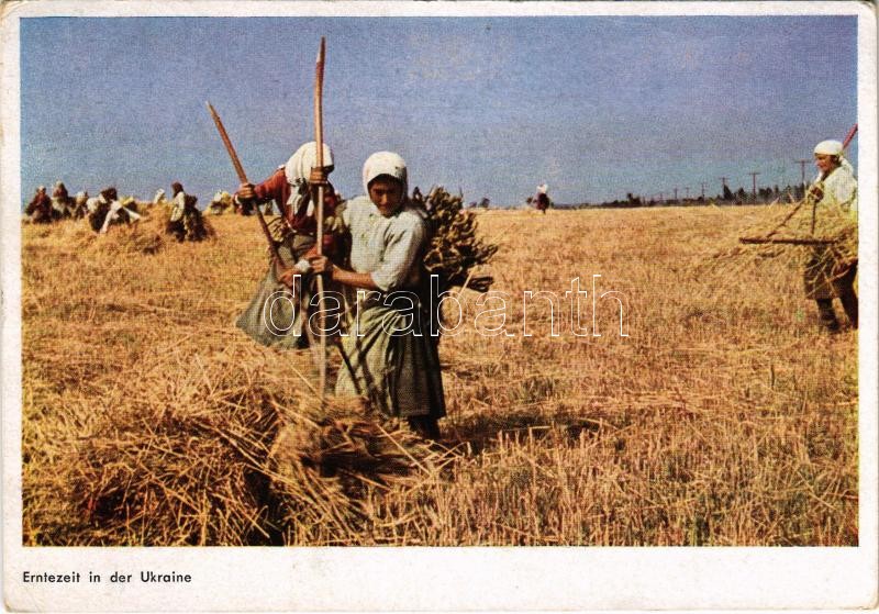 1944 Ukraine, Erntezeit / Betakarítás / harvest time