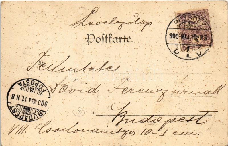 1900 Október. Szecessziós művészlap szőlővel / October. Art Nouveau lady with grapes. litho - Image 2