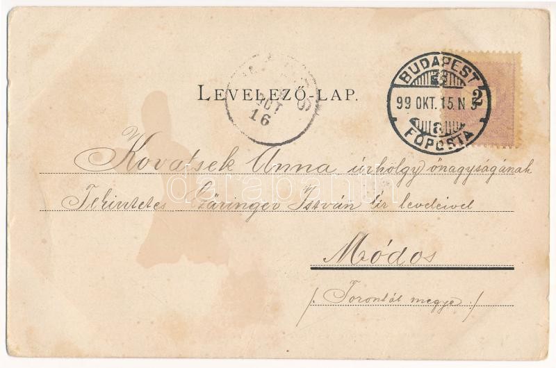 1899 (Vorläufer) Budapest VIII. Schuster Hugó Medicus kávéháza, belső. Üllői út 30. (EB) - Image 2