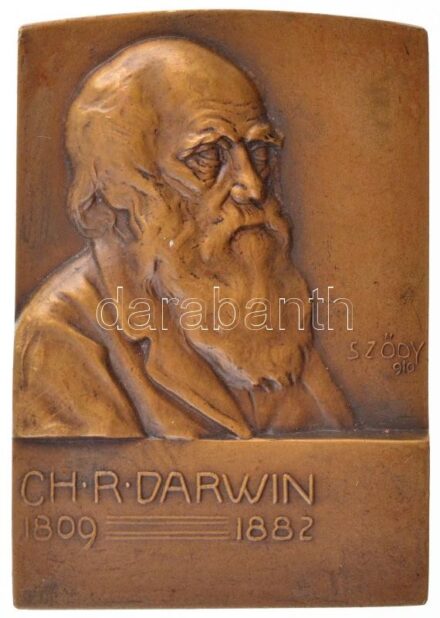 Sződy Szilárd (1878-1939) 1910. 'Charles Darwin 1809-1882' egyoldalas Br plakett, hátoldalán 'B.S.W. (Bruder Schneider Wien)' gyártói jelzéssel (60x43mm) T:1- kis ph / Hungary 1910. 'Charles Darwin 1809-1882' one-sided Br plaque with