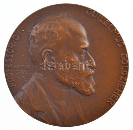 Csillag István (1881-1968) 1909. 'Professor Dr. Goldzieher Vilmos' egyoldalas bronz emlékérem (55mm) T:2 patina, ph, kis ü. / Hungary 1909. 'Professor Dr. Guilelmus Goldzieher' one-sided bronze commemorative medallion. Sign.:István Csillag