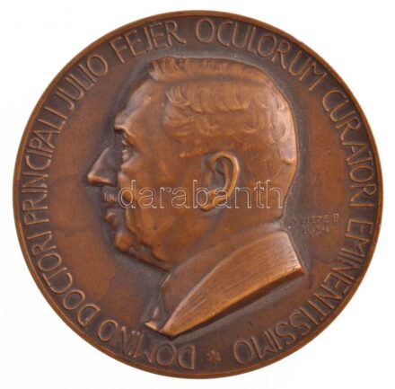 Vincze Pál (1907-1994) 1934. 'Dr. Fejér Gyula szemész főorvosnak' egyoldalas Br emlékérem (60mm) T:1- kis patina, ph / Hungary 1934. 'For Chief Ophthalmologist Dr. Gyula Fejér' one-sided Br commemorative medallion. Sign.:Pál Vincze