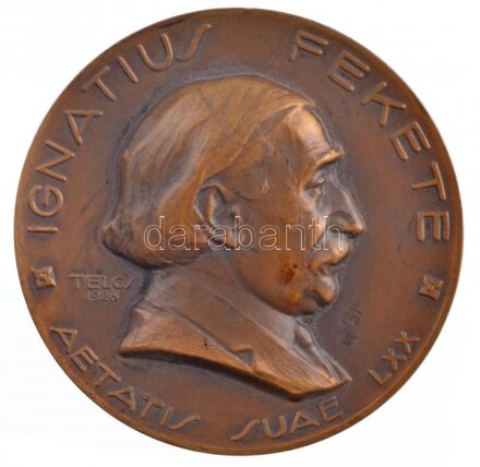 Telcs Ede (1872-1948) 1928. 'Fekete Ignác gyógyszerész' egyoldalas Br emlékérem (60mm) T:2 patina, kis ph / Hungary 1928. 'Ignatius Fekete pharmacist' one-sided Br commemorative medallion. Sign.:Ede Telcs (1872-1948) (60mm) C:XF patina, small