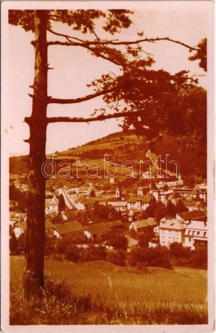 Trencsénteplic, Trencianske Teplice; látkép / general view (EK)