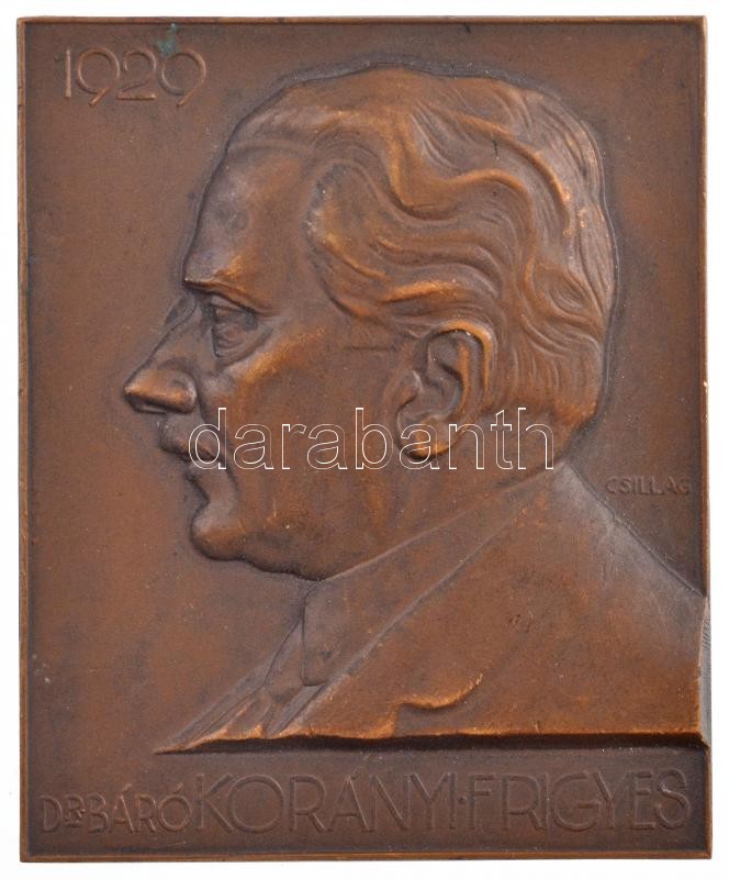 Csillag István (1881-1968) 1929. 'Dr. Báró Korányi Frigyes' egyoldalas bronz plakett (70x57mm) T:2 patina, kis karc / Hungary 1929. 'Dr. Baron Frigyes Korányi' one-sided bronze plaque. Sign.:István Csillag (1881-1968) (70x57mm) C:XF patina,