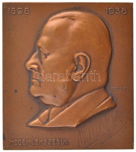 Csillag István (1881-1968) 1938.'Dr. Weiner Samu' (a Hungária Egyesült Gőzmalmi Rt. vezérigazgatója) egyoldalas bronz plakett (72x65mm) T:2 patina, ph, karc / Hungary 1938. 'Dr. Samu Weiner' one-sided bronze commemorative plaque.