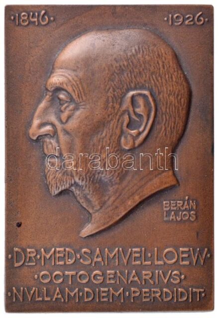Berán Lajos (1882-1943) 1926. 'Dr. Lőw Sámuel belgyógyász 80. születésnapjára' egyoldalas bronz emlékplakett (100x67mm) T:1- patina / Hungary 1926. 'For the 80th birthday of Dr. Samwell Loew' one-sided bronze commemorative plaque.