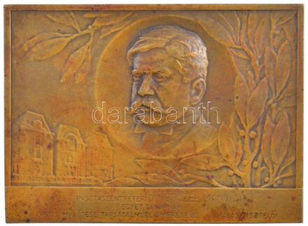 Berán Lajos (1882-1943) 1910. 'Pusztaszentpéteri Dr. Herczel Manó Egyet. Tanárnak orvosi működése társadalmi elismeréséül - Hálás tisztelői' kétoldalas bronz plakett (74x100mm) T:2,2- patina, kis ph Hungary 1910. For professor Dr.