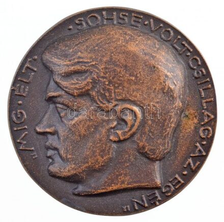Reményi József (1887-1977) 1925. 'Ady / Míg élt sohse volt csillag az egén' kétoldalas Br emlékérem (~68mm) T:2 kis patina / Hungary 1925. 'Endre Ady / While living there was never a star in his sky' two-sided Br commemorative medallion.